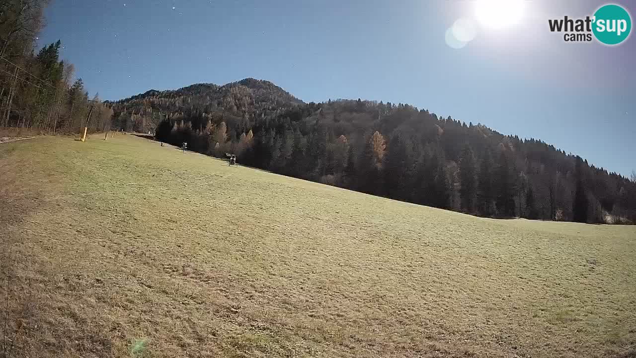 RTC Skigebiet Kranjska Gora | Brsnina