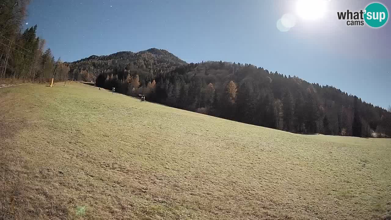 Esquí Kranjska Gora | Brsnina