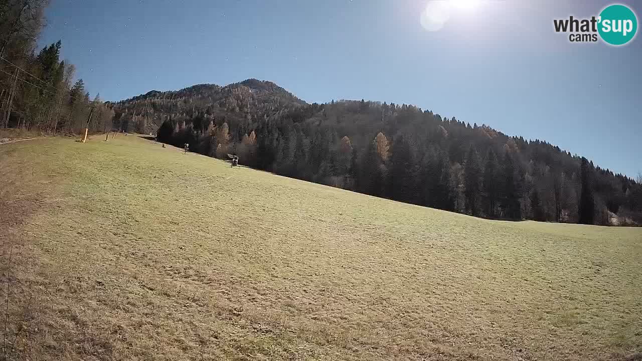 Ski Kranjska Gora | Brsnina