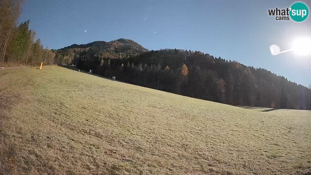 Ski Kranjska Gora | Brsnina