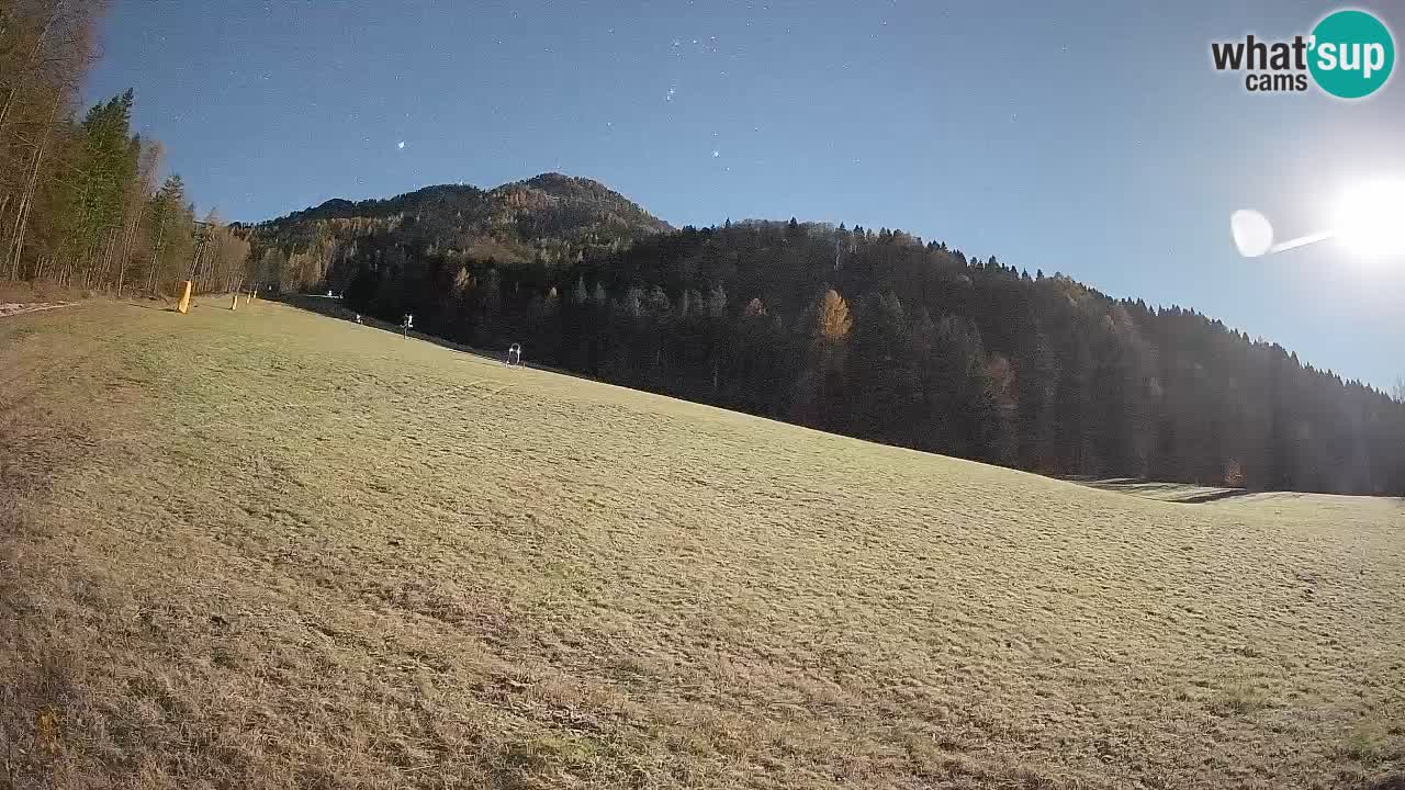 Ski Kranjska Gora | Brsnina