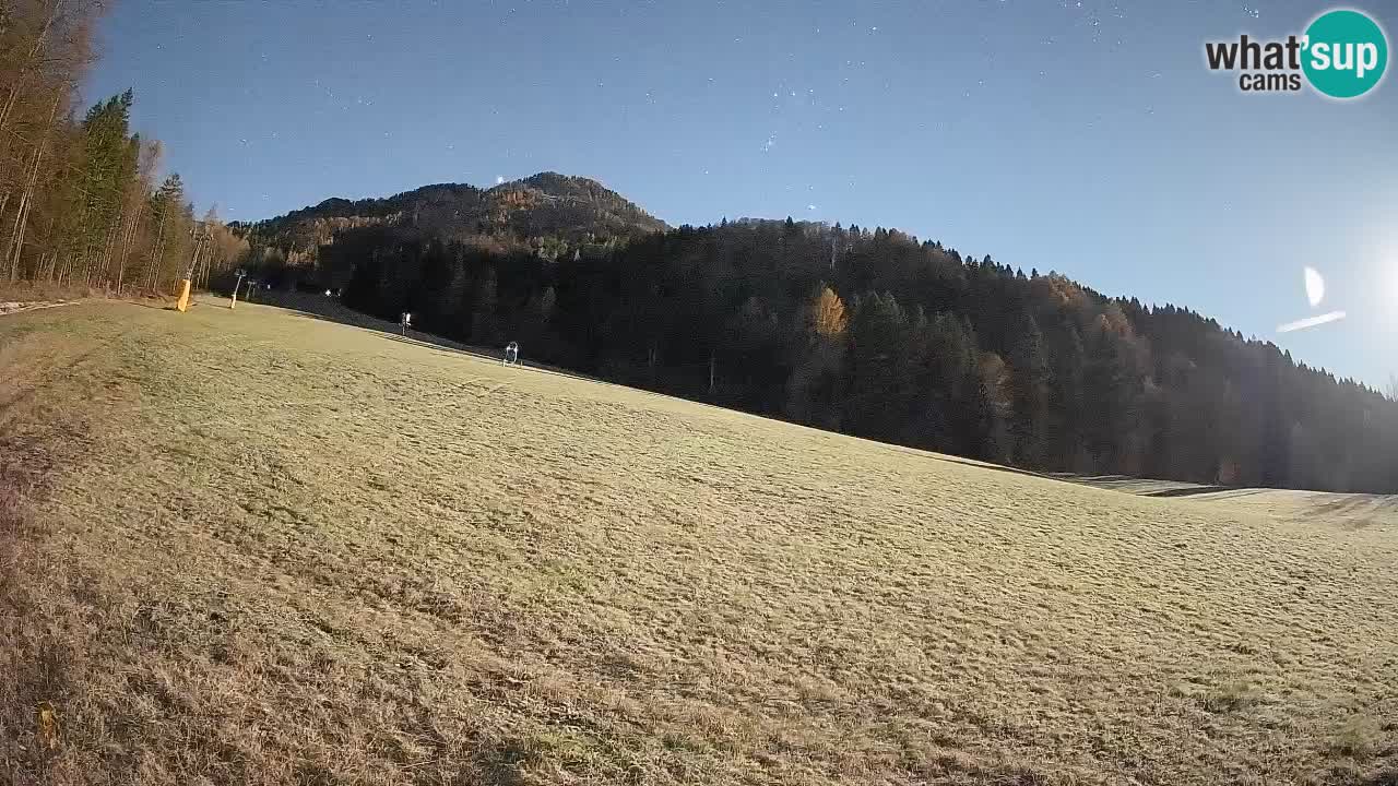 Esquí Kranjska Gora | Brsnina