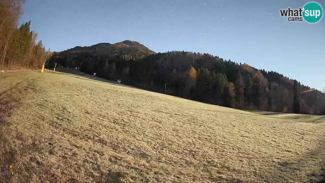 Ski Kranjska Gora | Brsnina