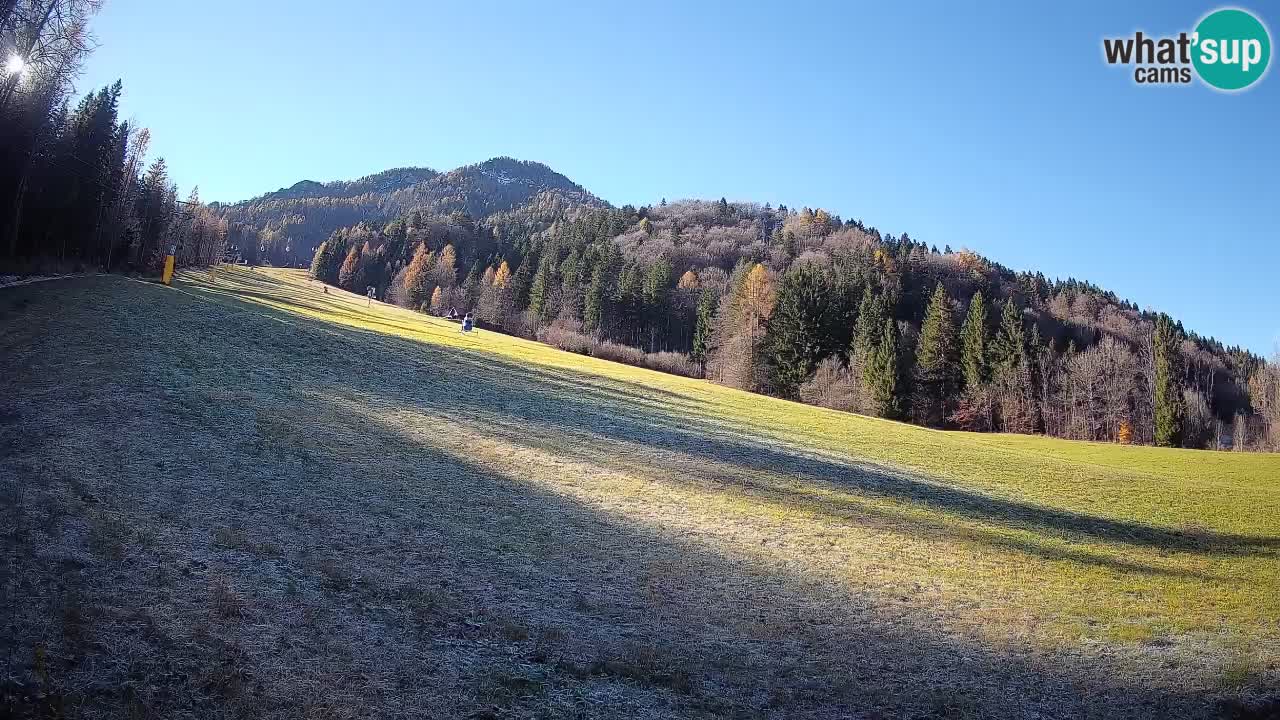 Esquí Kranjska Gora | Brsnina