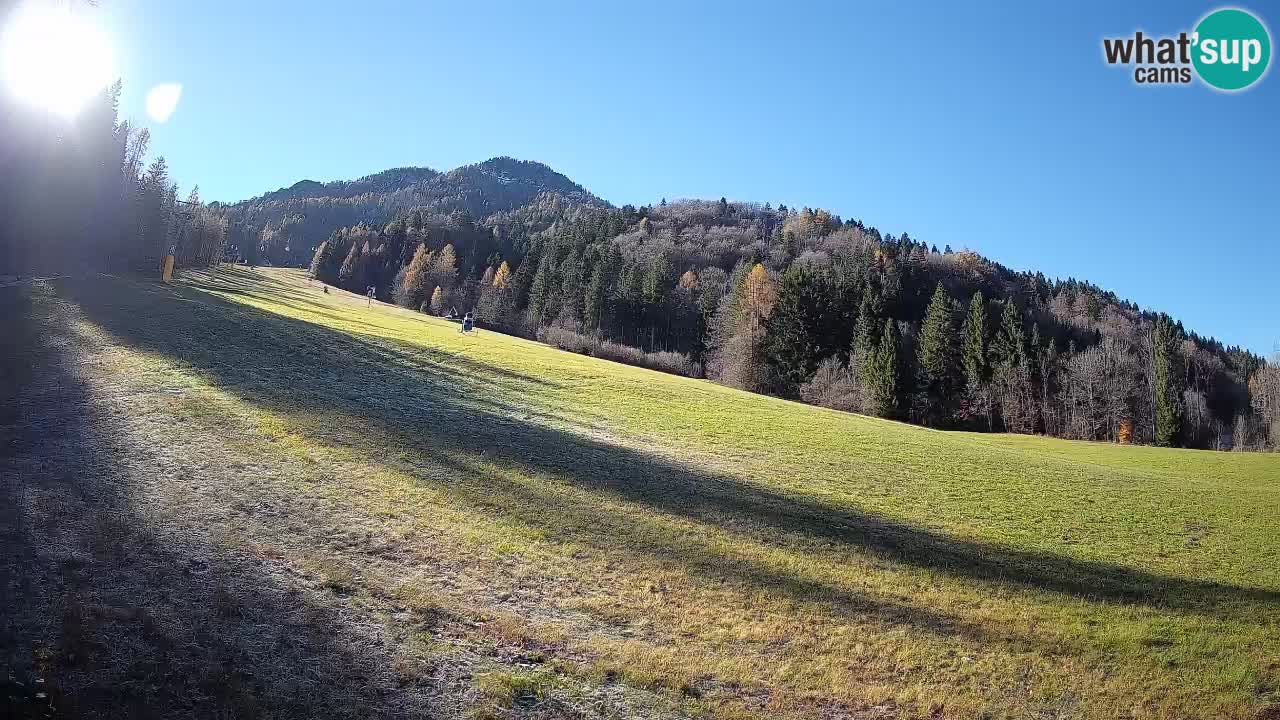 RTC Kranjska Gora | Brsnina