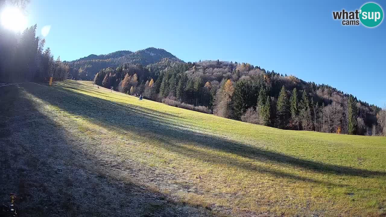 Kranjska Gora Station de ski | Brsnina