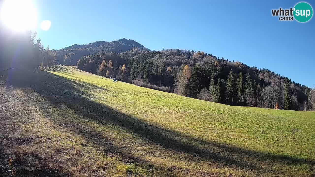 Comprensorio sciistico Kranjska Gora | Brsnina