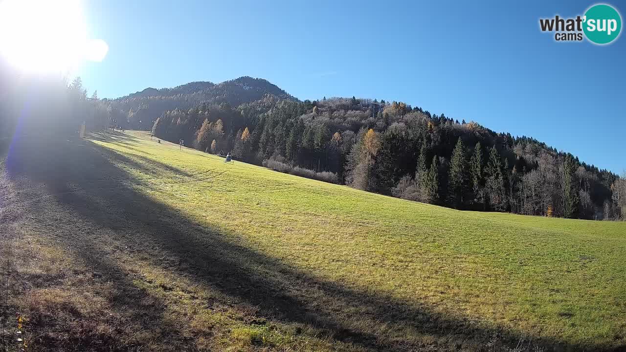 Ski Kranjska Gora | Brsnina