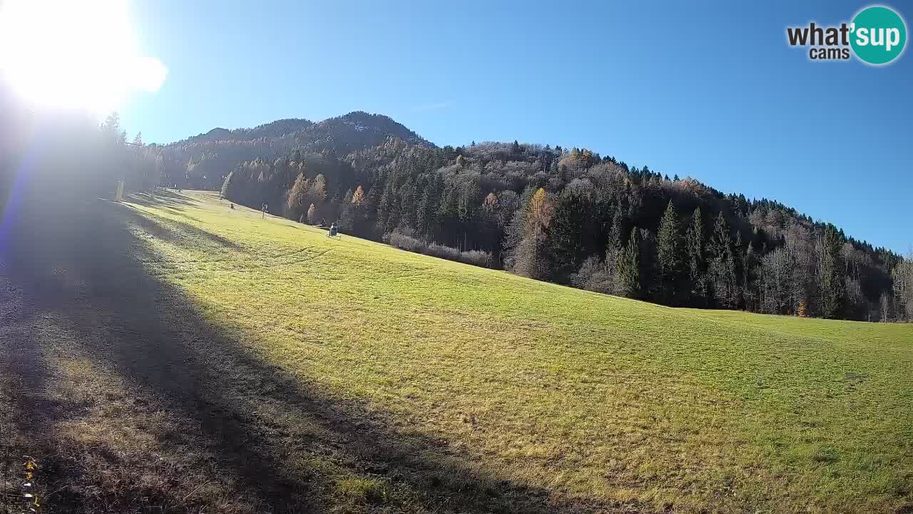 Comprensorio sciistico Kranjska Gora | Brsnina