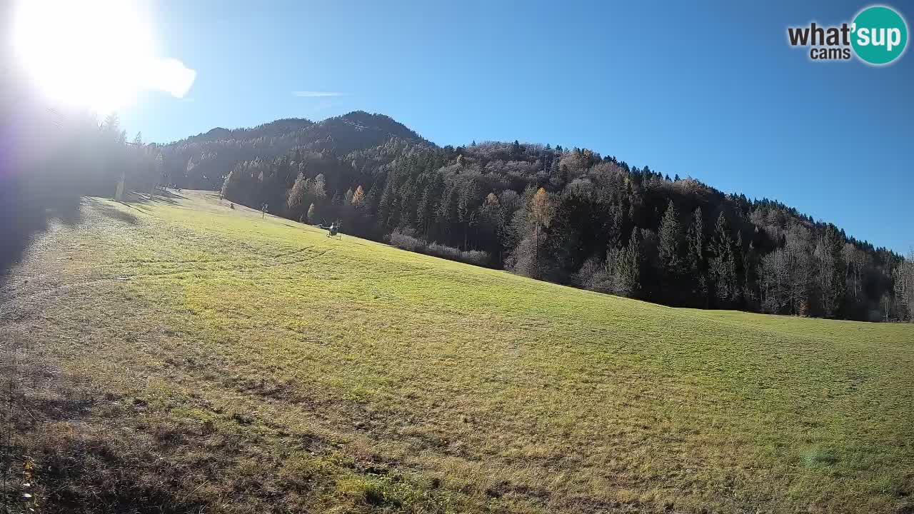 Comprensorio sciistico Kranjska Gora | Brsnina