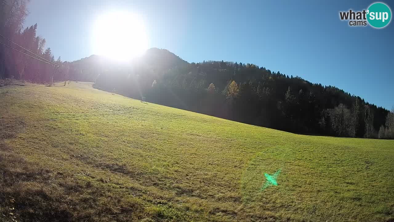 Esquí Kranjska Gora | Brsnina