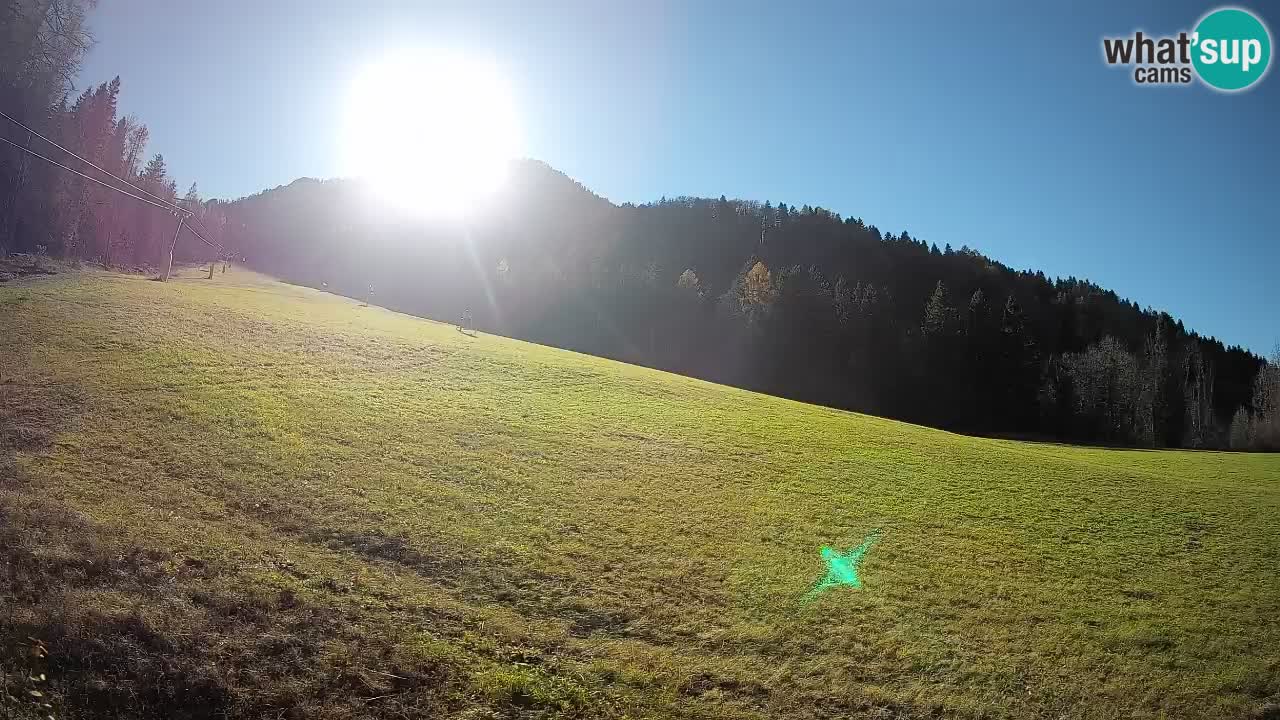 RTC Kranjska Gora | Brsnina