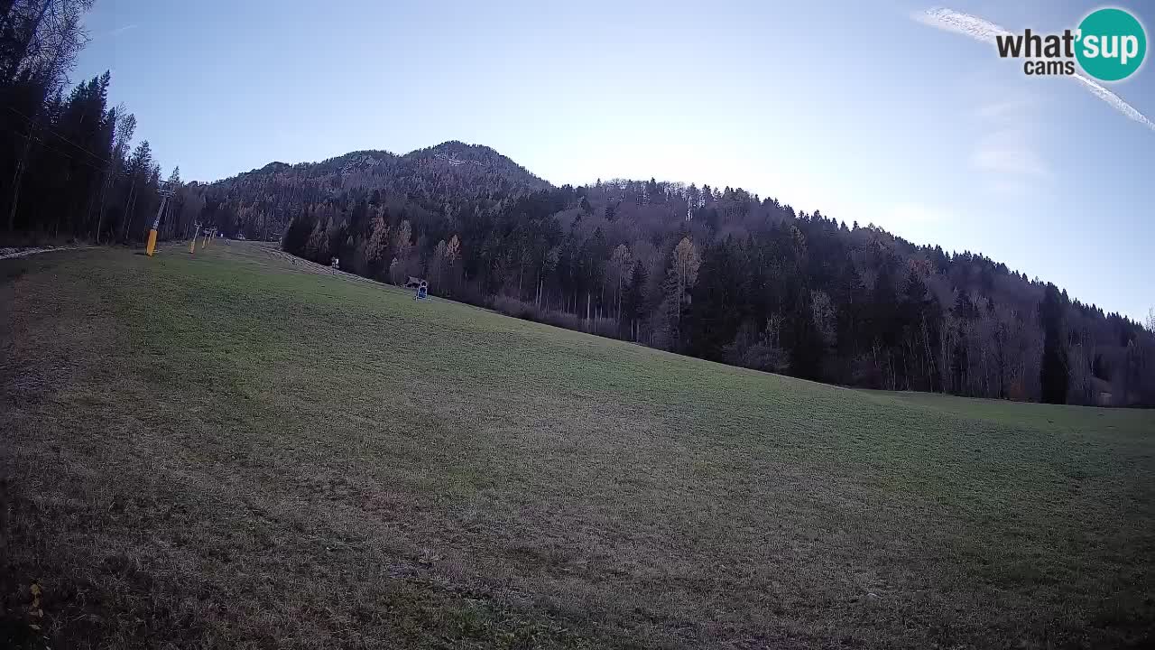 RTC Kranjska Gora | Brsnina