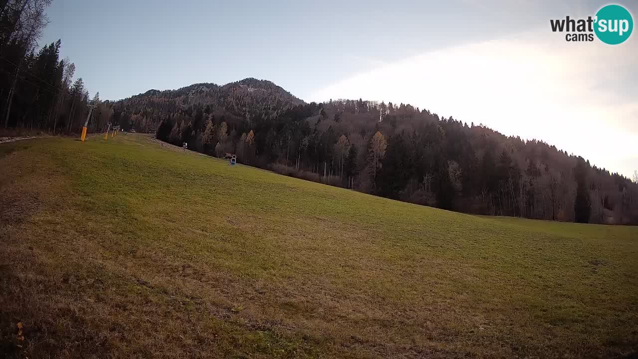 RTC Kranjska Gora | Brsnina