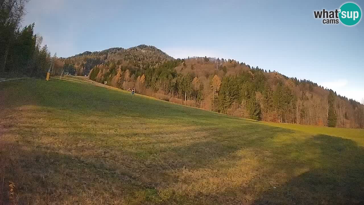 Ski Kranjska Gora | Brsnina