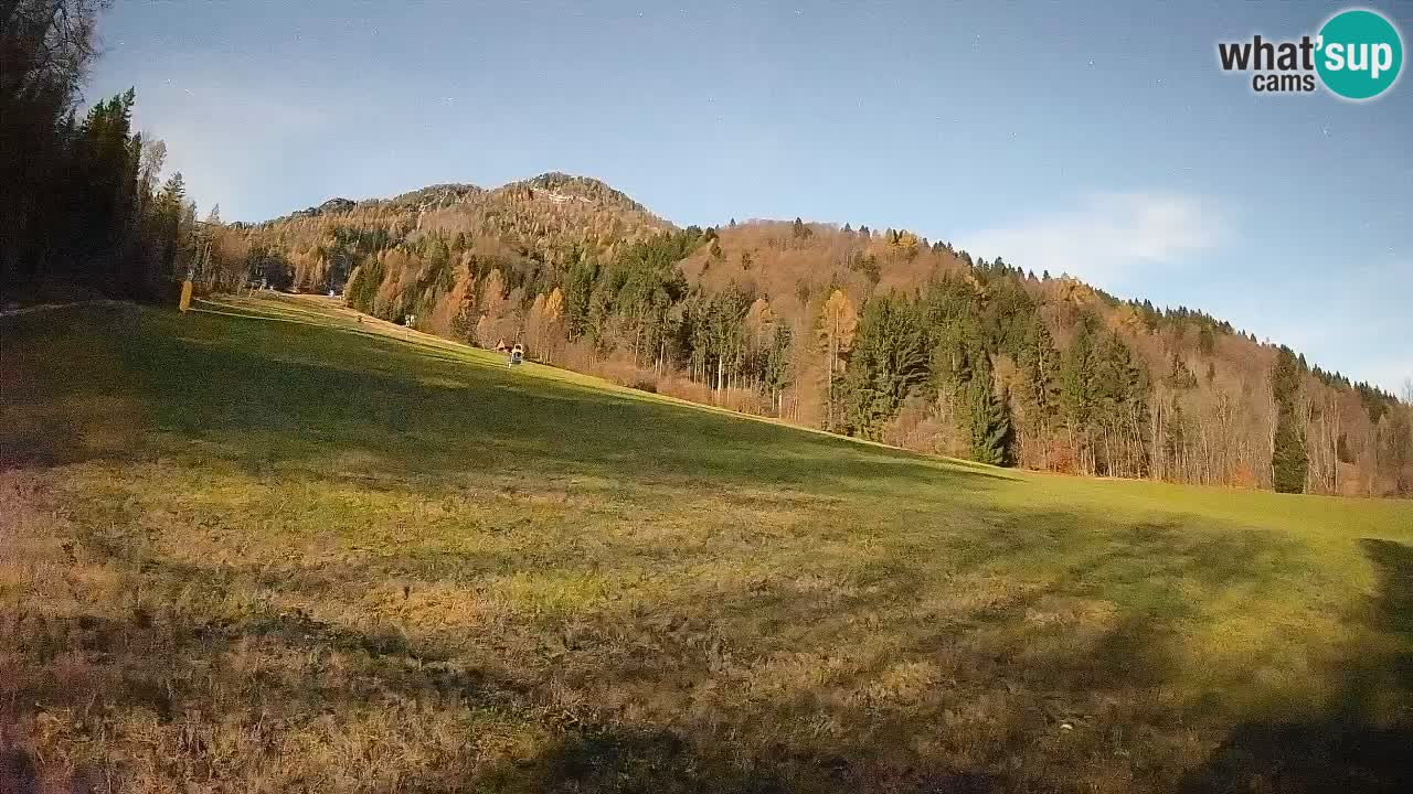 Ski Kranjska Gora | Brsnina