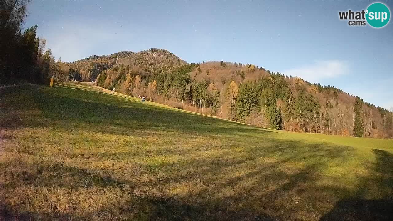 Ski Kranjska Gora | Brsnina