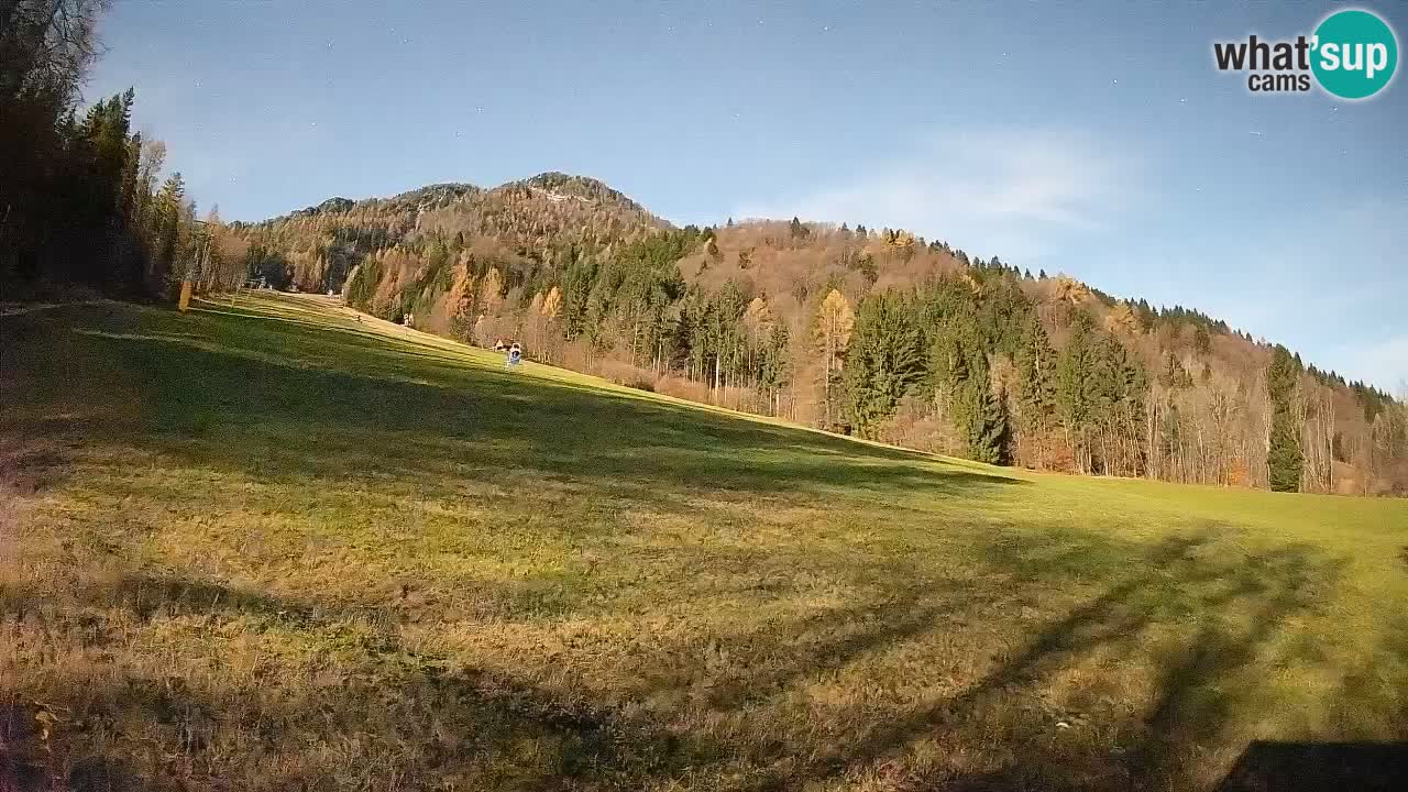 RTC Skigebiet Kranjska Gora | Brsnina