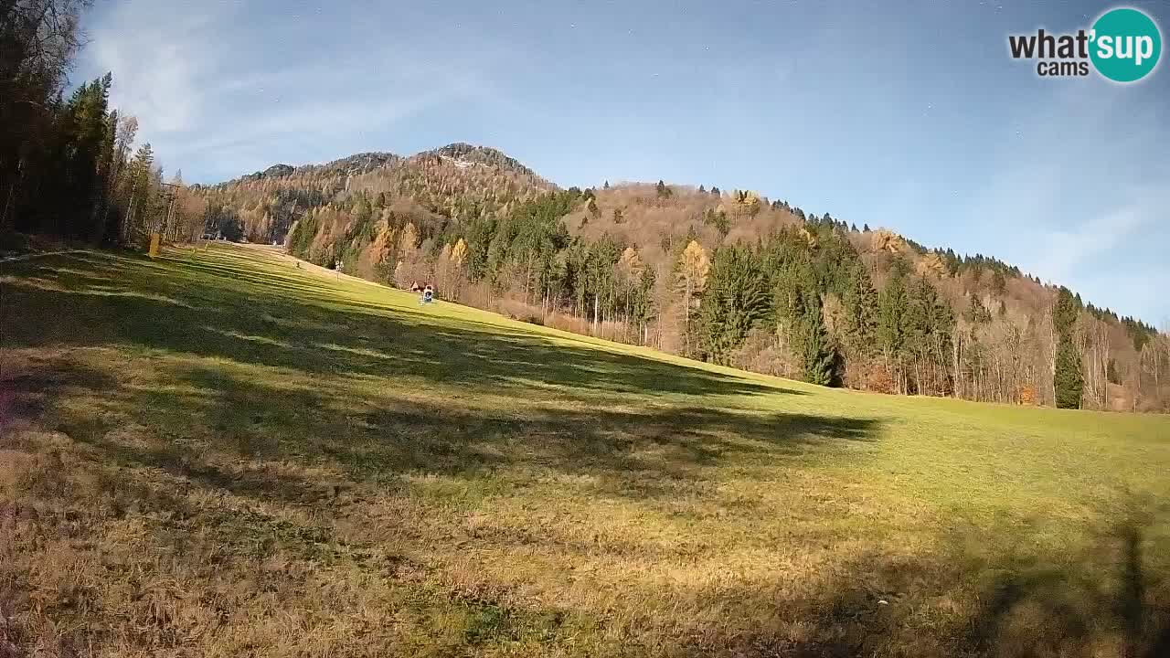 Kranjska Gora Station de ski | Brsnina