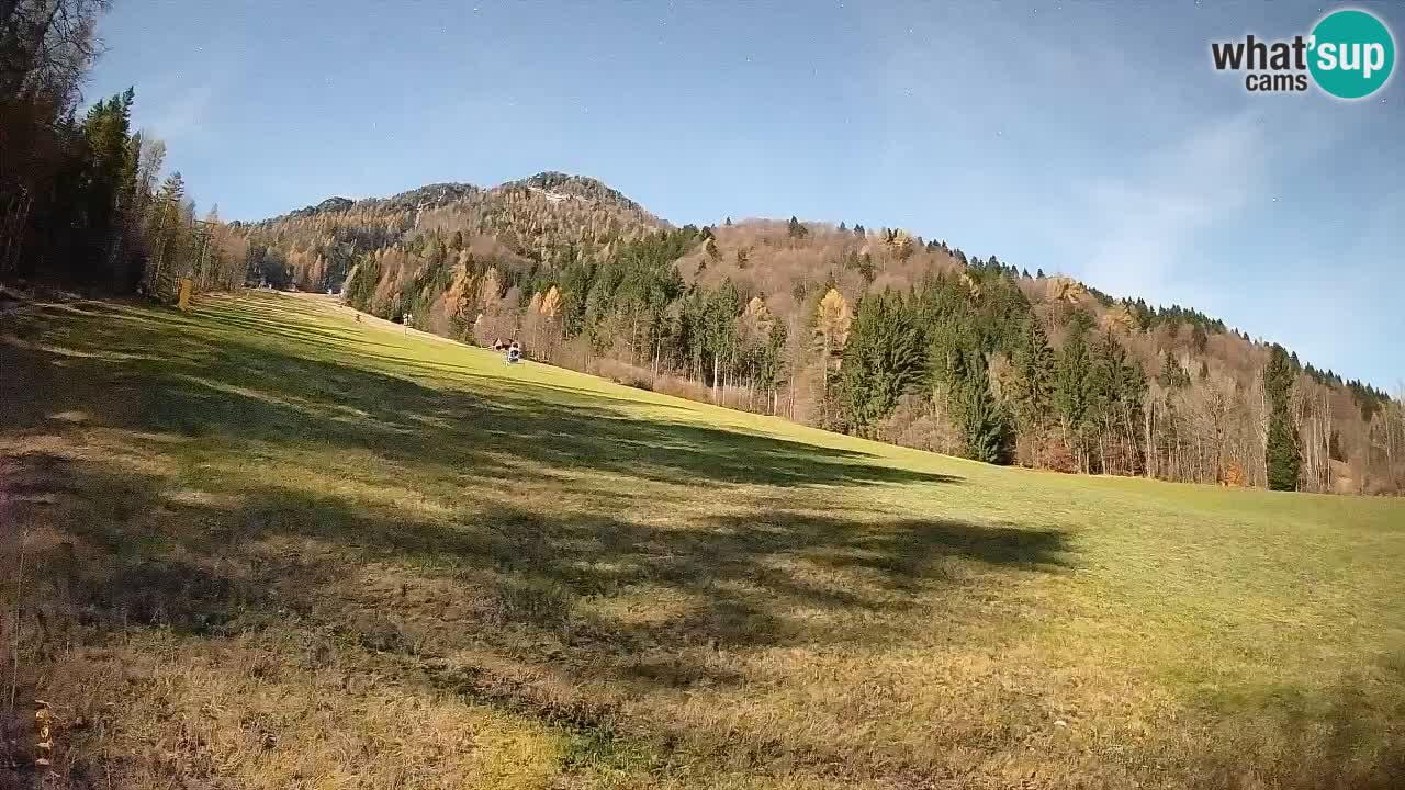 Kranjska Gora Station de ski | Brsnina