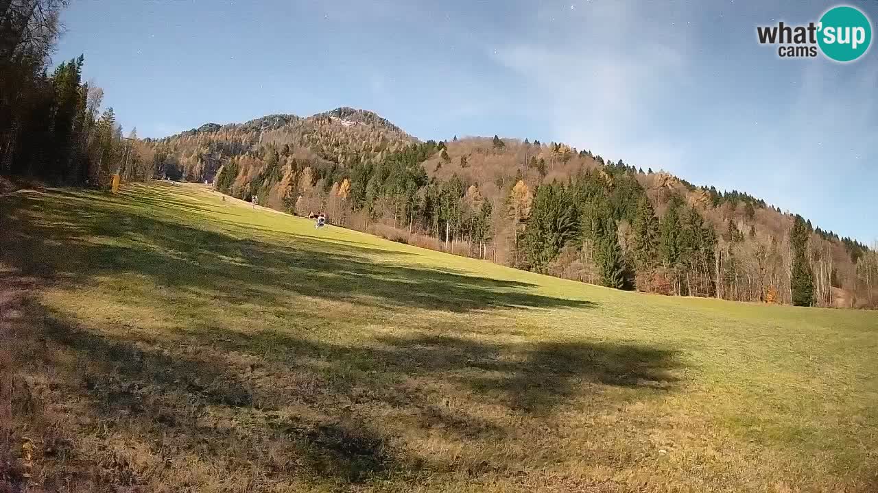Kranjska Gora Station de ski | Brsnina