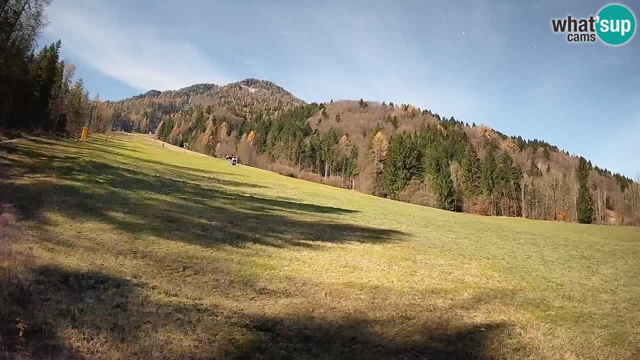 RTC Skigebiet Kranjska Gora | Brsnina