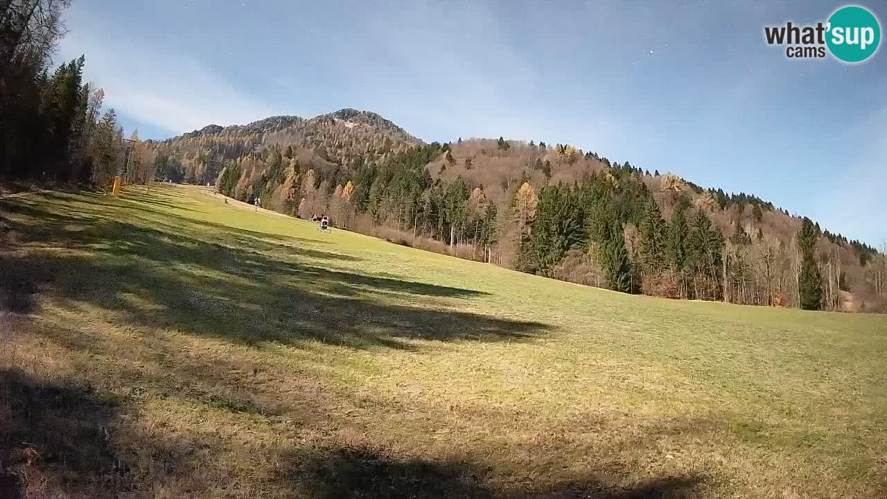 Comprensorio sciistico Kranjska Gora | Brsnina