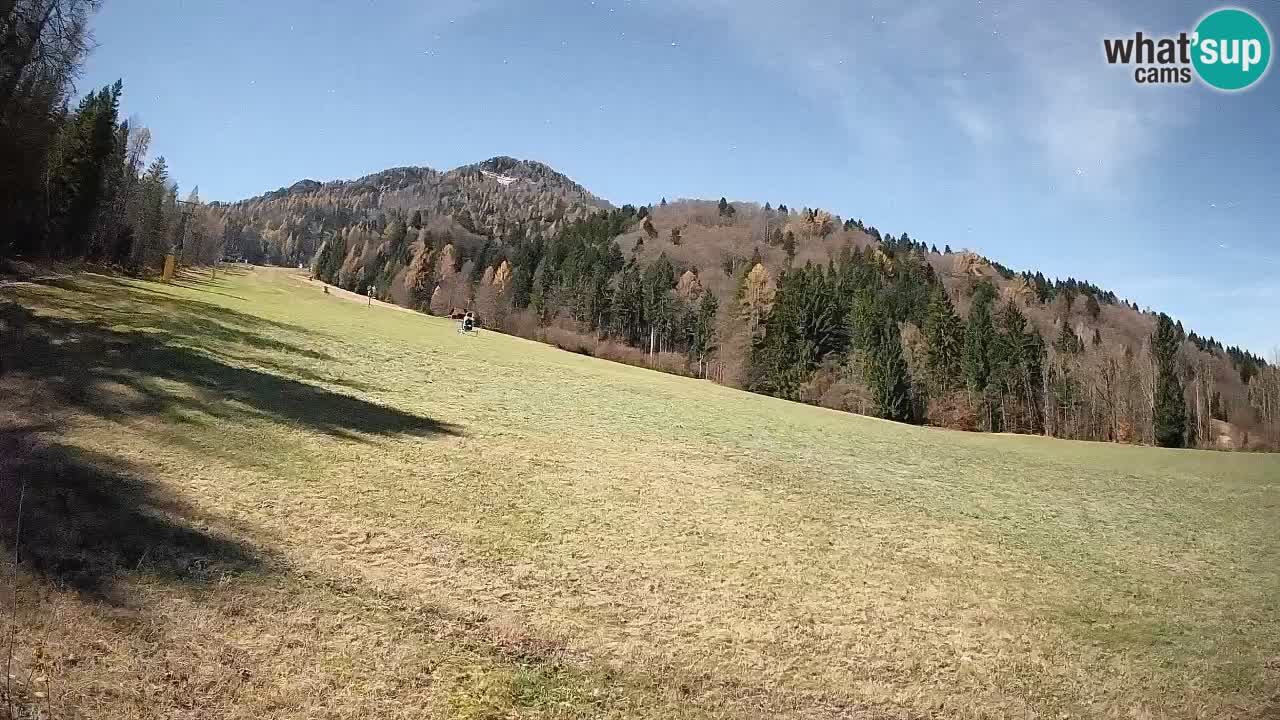 Kranjska Gora Station de ski | Brsnina