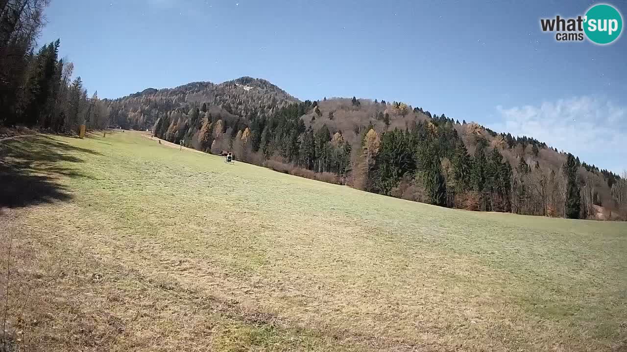 Comprensorio sciistico Kranjska Gora | Brsnina