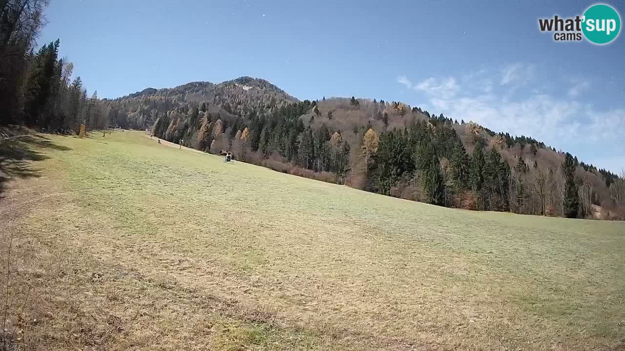 Comprensorio sciistico Kranjska Gora | Brsnina