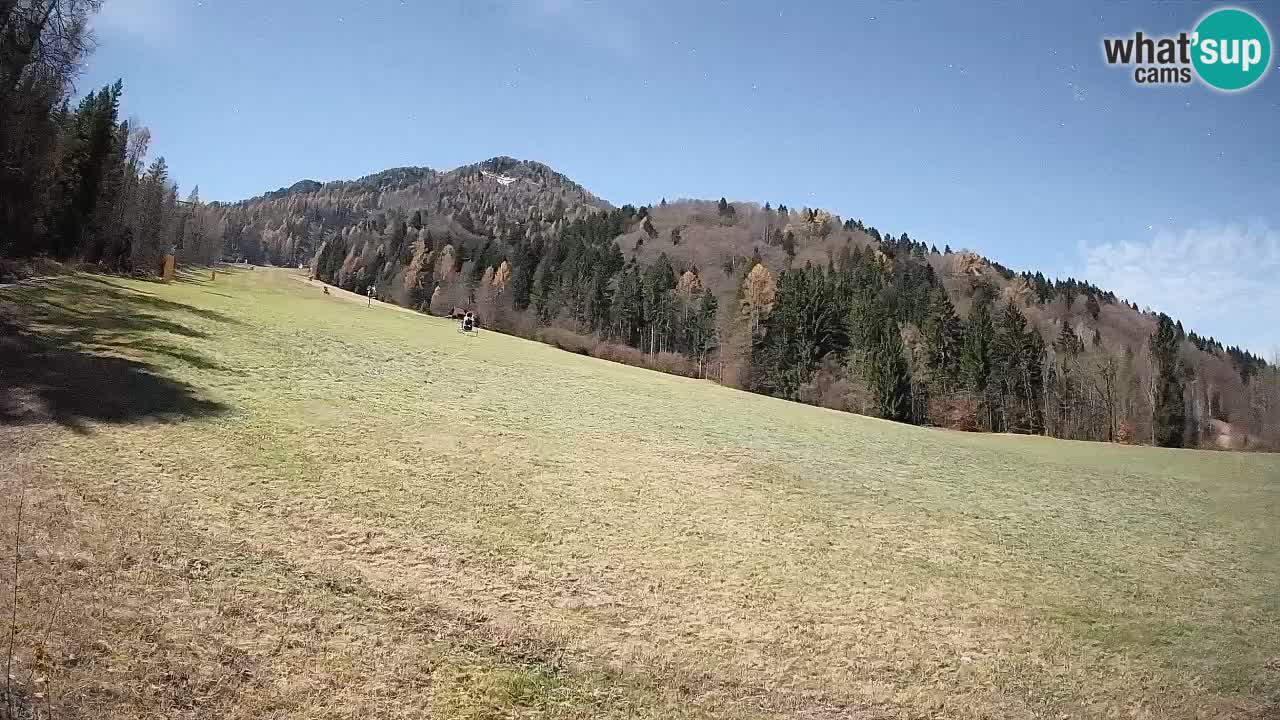 RTC Kranjska Gora | Brsnina