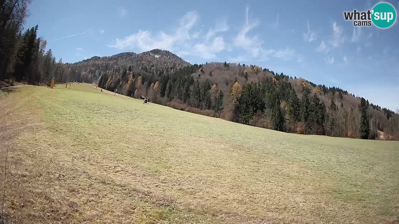 Comprensorio sciistico Kranjska Gora | Brsnina