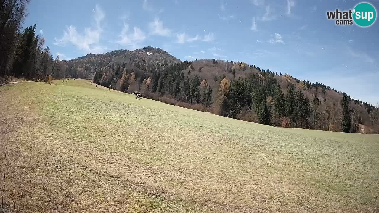 RTC Kranjska Gora | Brsnina