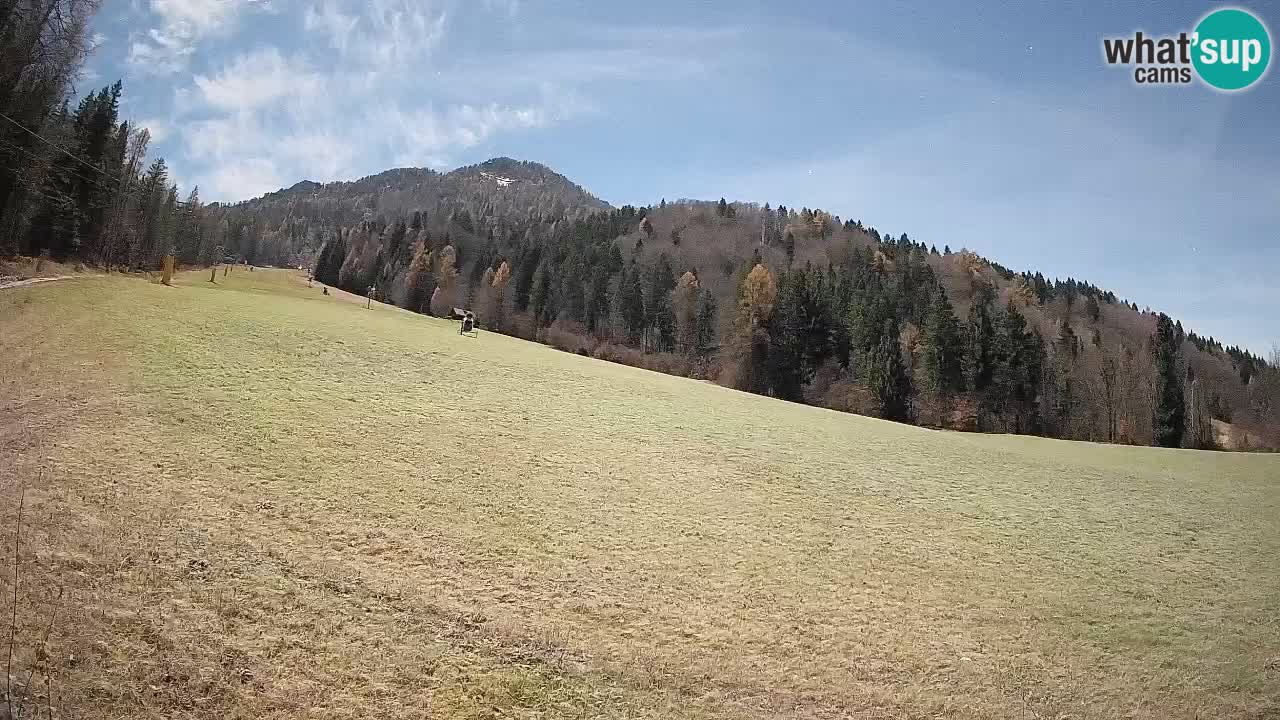 Comprensorio sciistico Kranjska Gora | Brsnina