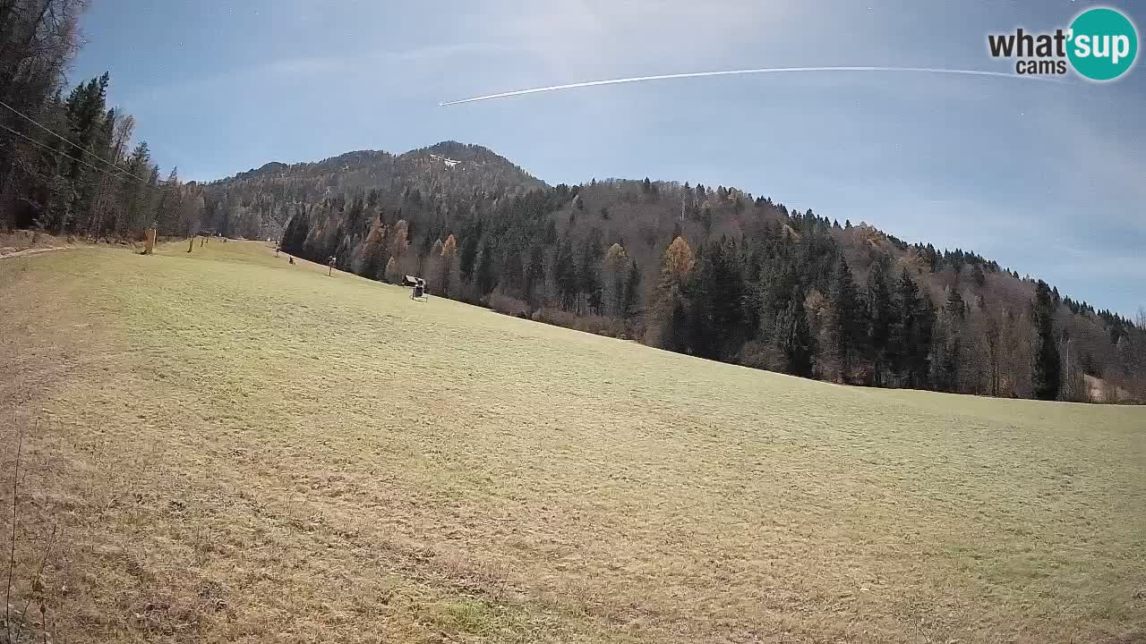 Ski Kranjska Gora | Brsnina