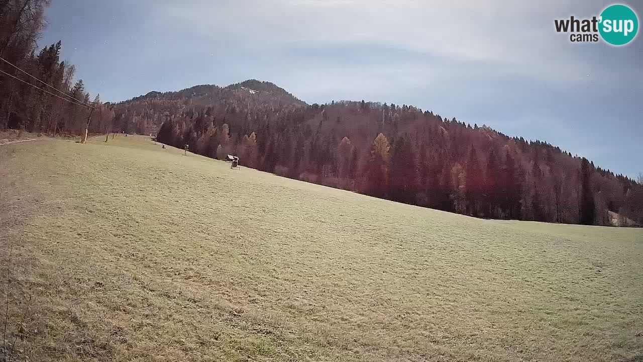 RTC Kranjska Gora | Brsnina