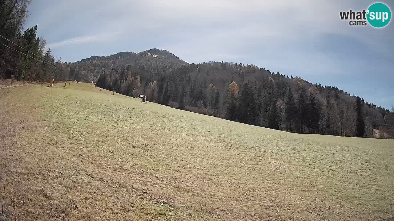 Ski Kranjska Gora | Brsnina