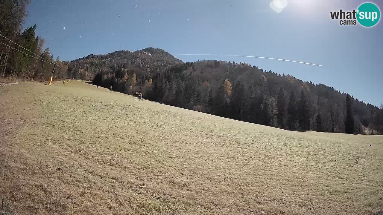 RTC Skigebiet Kranjska Gora | Brsnina