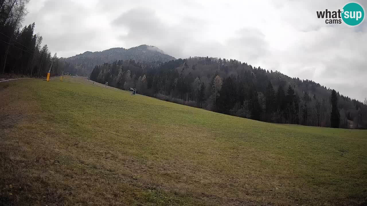 RTC Kranjska Gora | Brsnina