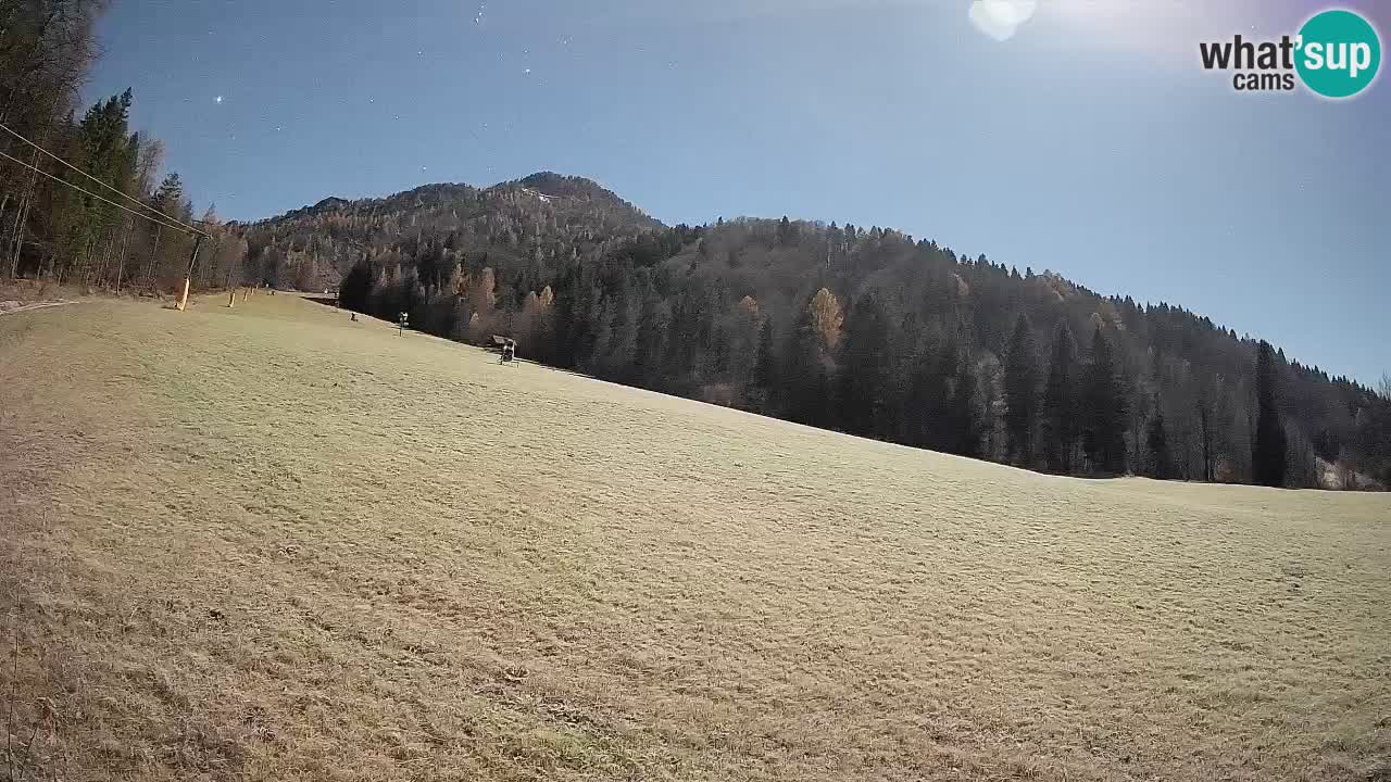 Kranjska Gora Station de ski | Brsnina