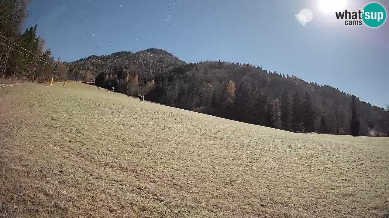 Kranjska Gora SKIJANJE | Brsnina