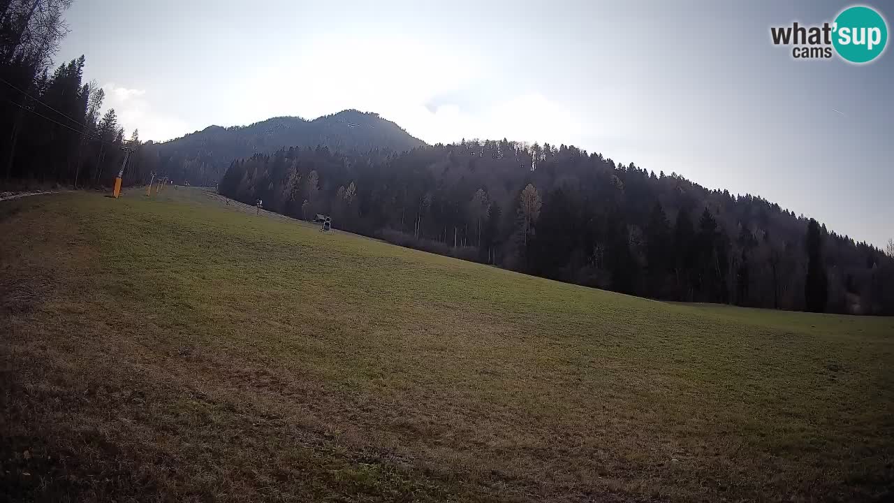 RTC Skigebiet Kranjska Gora | Brsnina