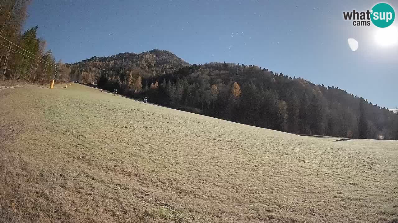 Kranjska Gora SKIJANJE | Brsnina