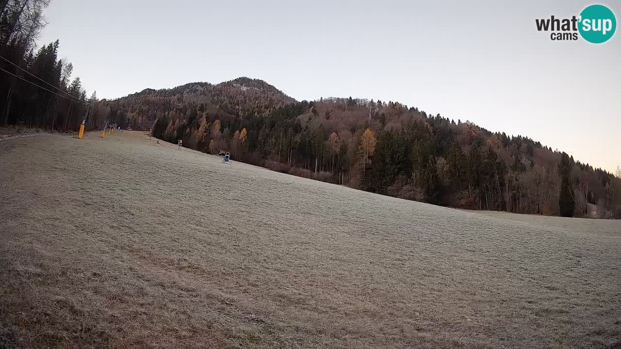 Esquí Kranjska Gora | Brsnina