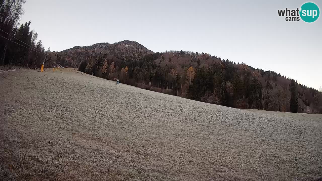 Kranjska Gora SKIJANJE | Brsnina