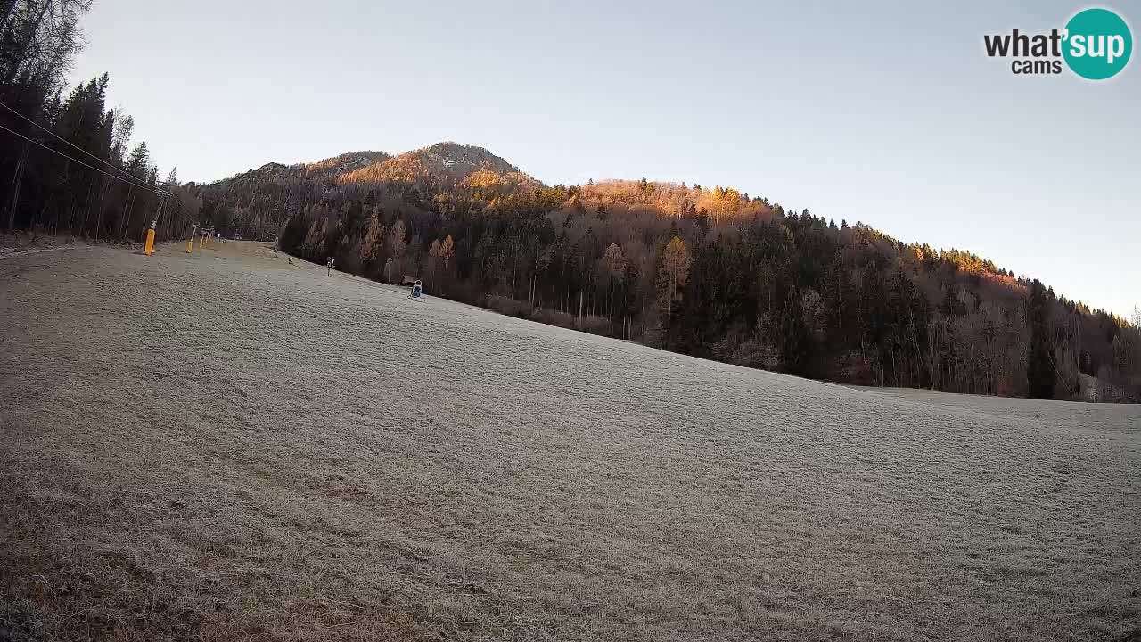RTC Kranjska Gora | Brsnina