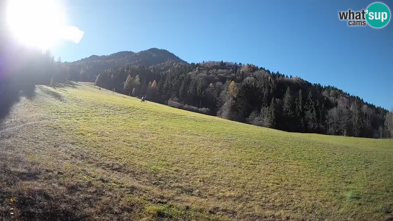 Comprensorio sciistico Kranjska Gora | Brsnina