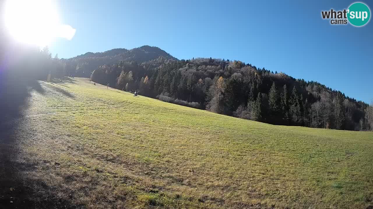 Ski Kranjska Gora | Brsnina