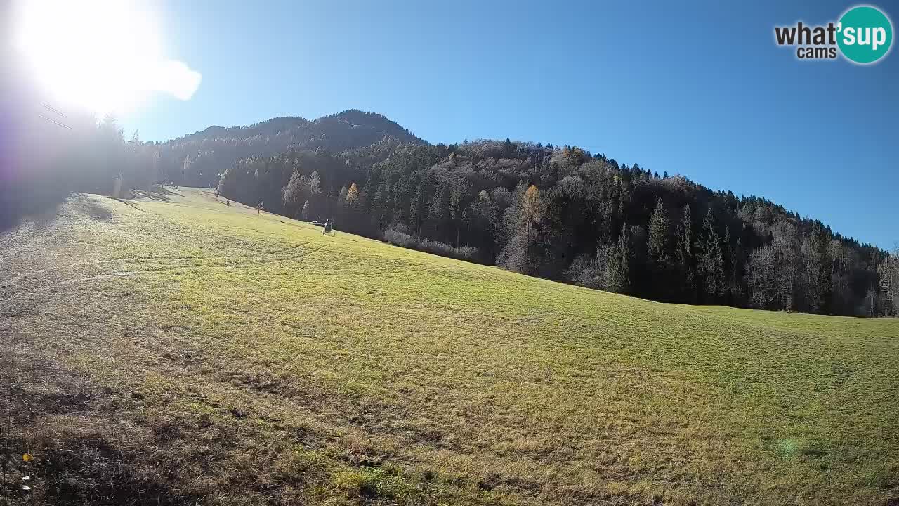 Ski Kranjska Gora | Brsnina
