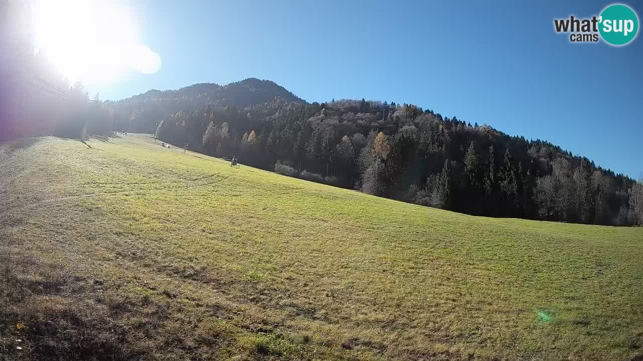 Esquí Kranjska Gora | Brsnina